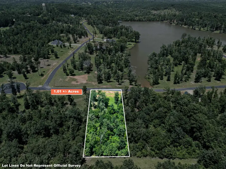 Lot 67 Marble Way, Hallsville, TX 75650 - #3