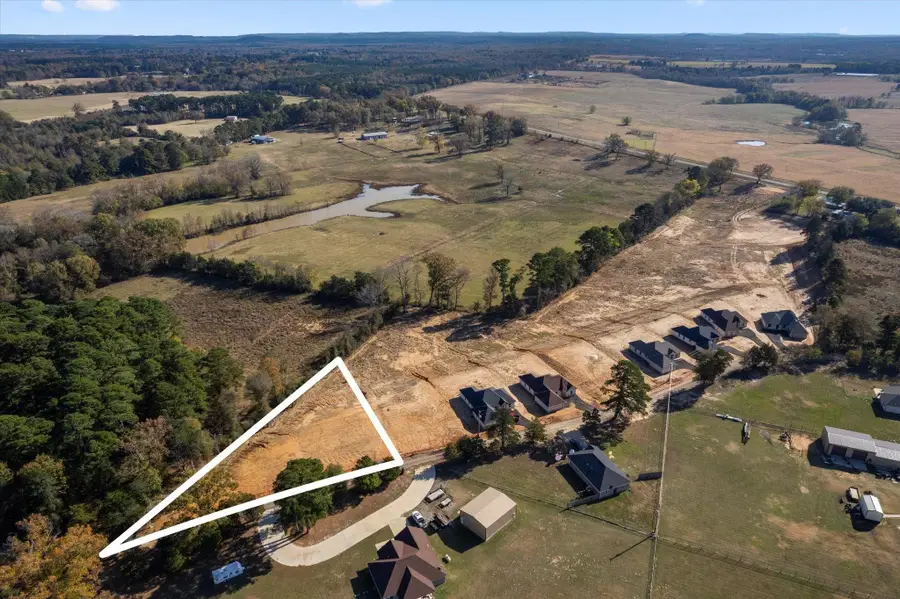 Lot 1 CR 4323, Pittsburg, TX 75686 - #3