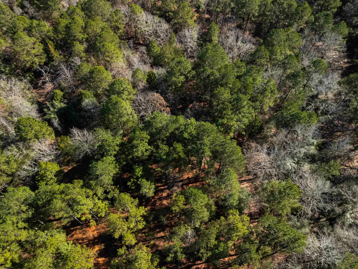 TBD N County Road 2138, Tatum, TX 75691 - #1