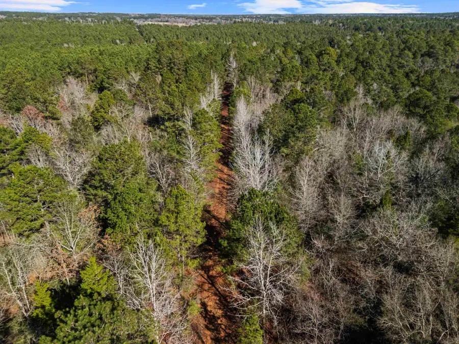 TBD N County Road 2138, Tatum, TX 75691 - #2