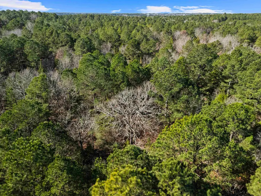 TBD N County Road 2138, Tatum, TX 75691 - #3