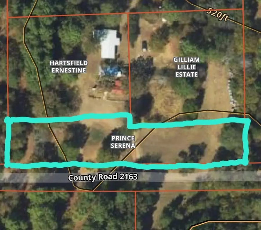 18947 County Road 2163, Troup, TX 75789 - #2