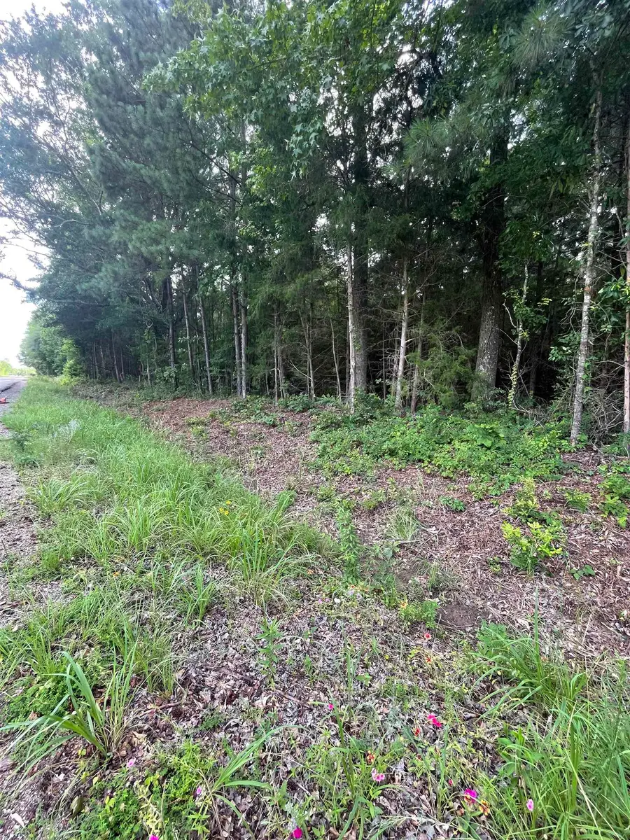 TBD FM 134, Karnack, TX 75661 - #2