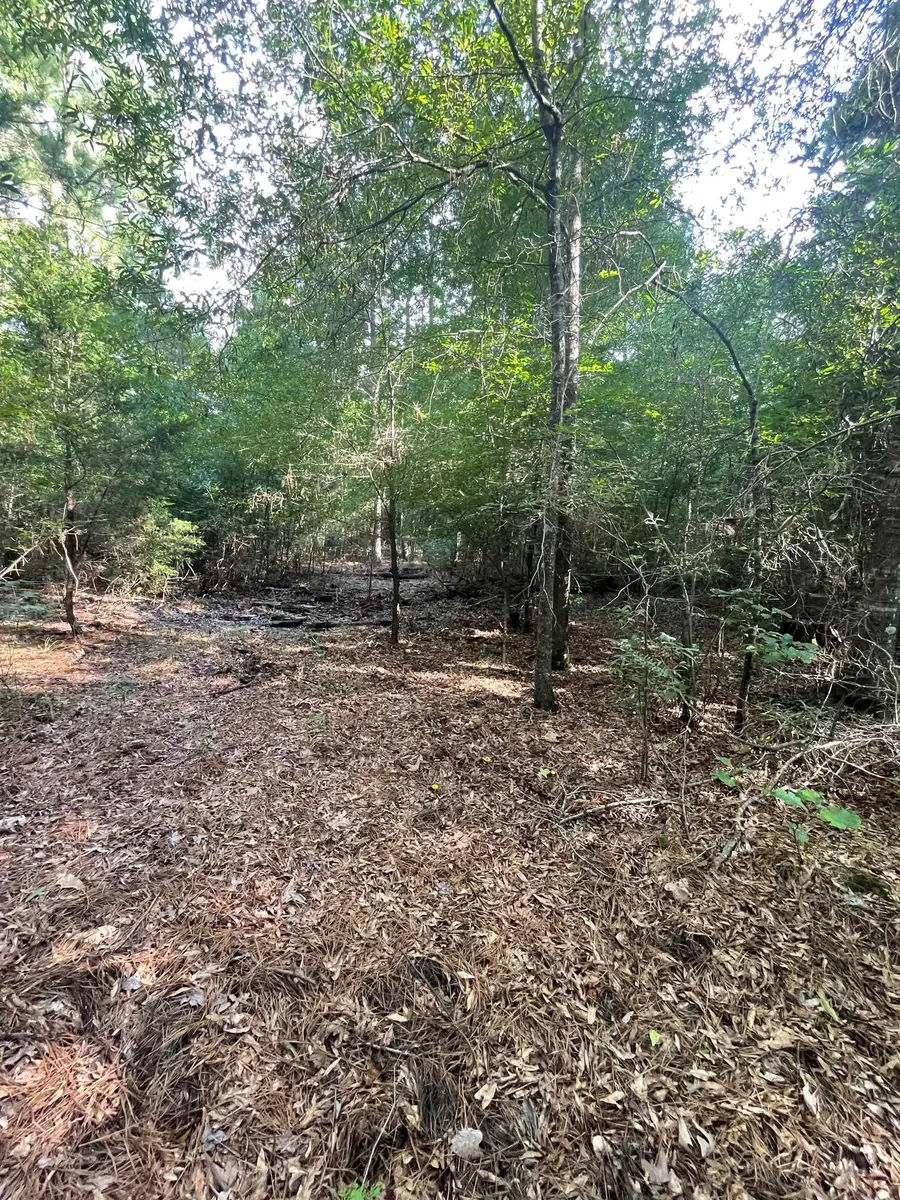 TBD FM 134, Karnack, TX 75661 - #3