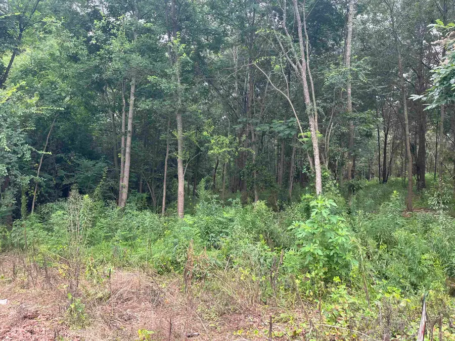 TBD Emory, Marshall, TX 75670 - #2