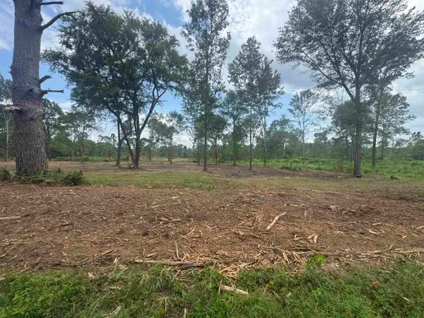 Lot 4 TBD CR 4108, Henderson, TX 75654