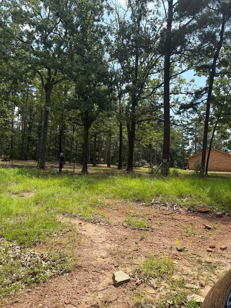 818 Whatley Rd, White Oak, TX 75693 - #2