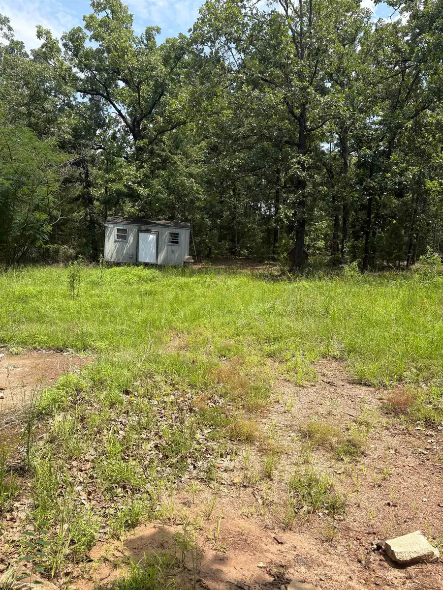 818 Whatley Rd, White Oak, TX 75693 - #3