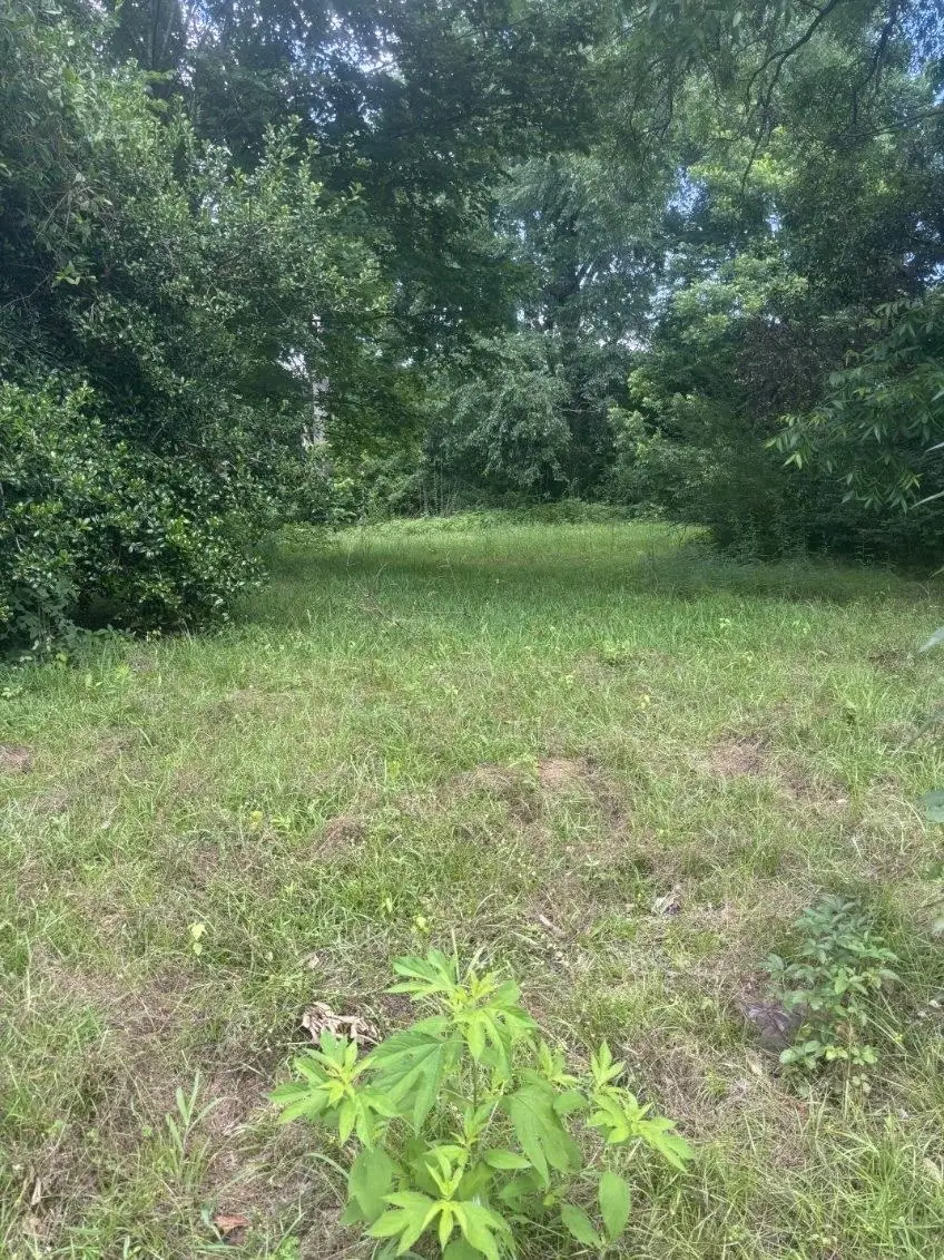 513 Miller St, Gilmer, TX 75644 - #2