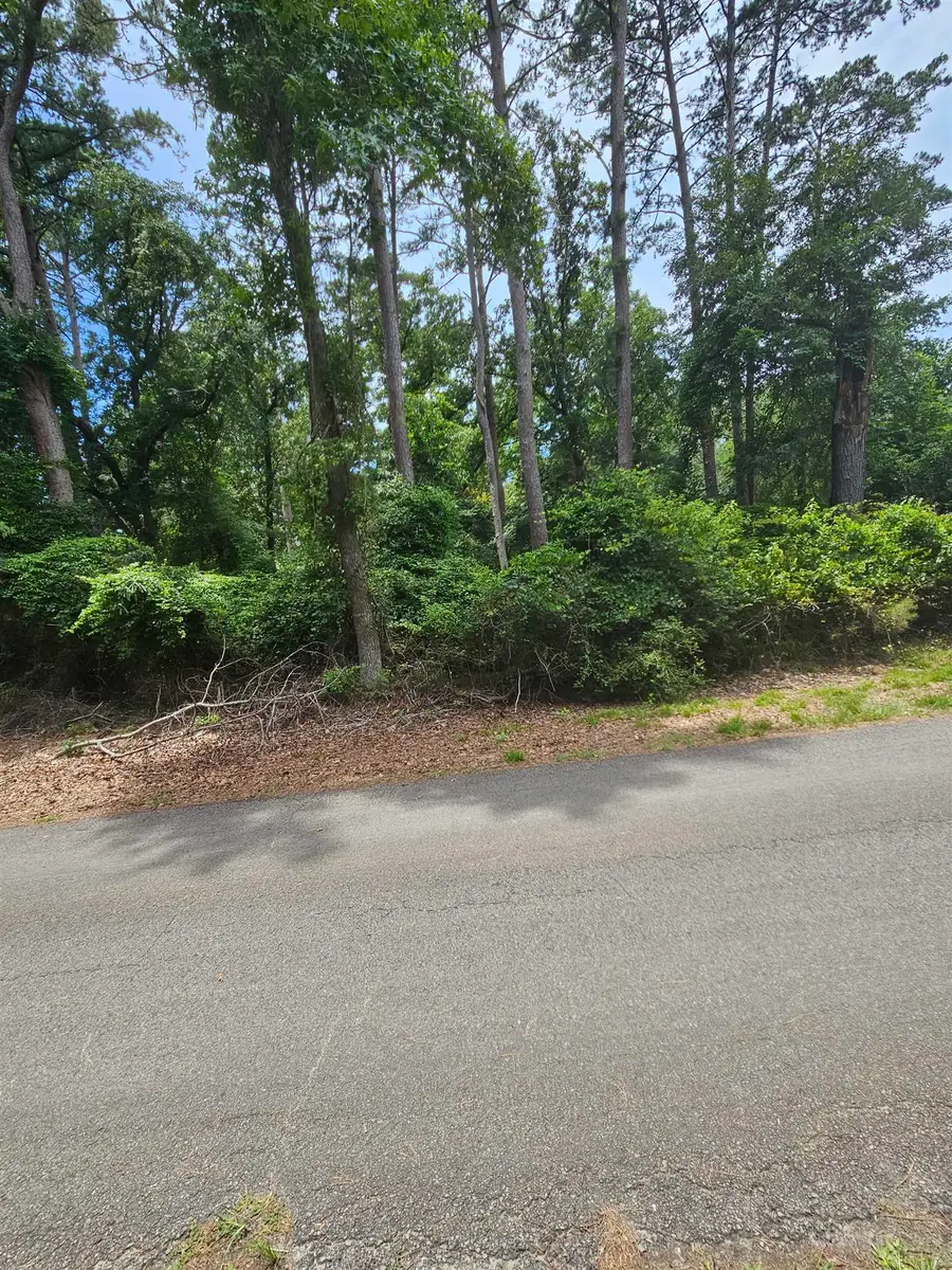 TBD LOT 36 Robin Cove, Holly Lake Ranch, TX 75765 - #2