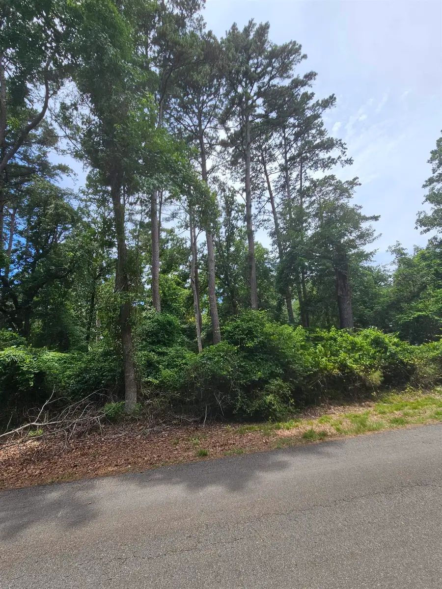 TBD LOT 36 Robin Cove, Holly Lake Ranch, TX 75765 - #3