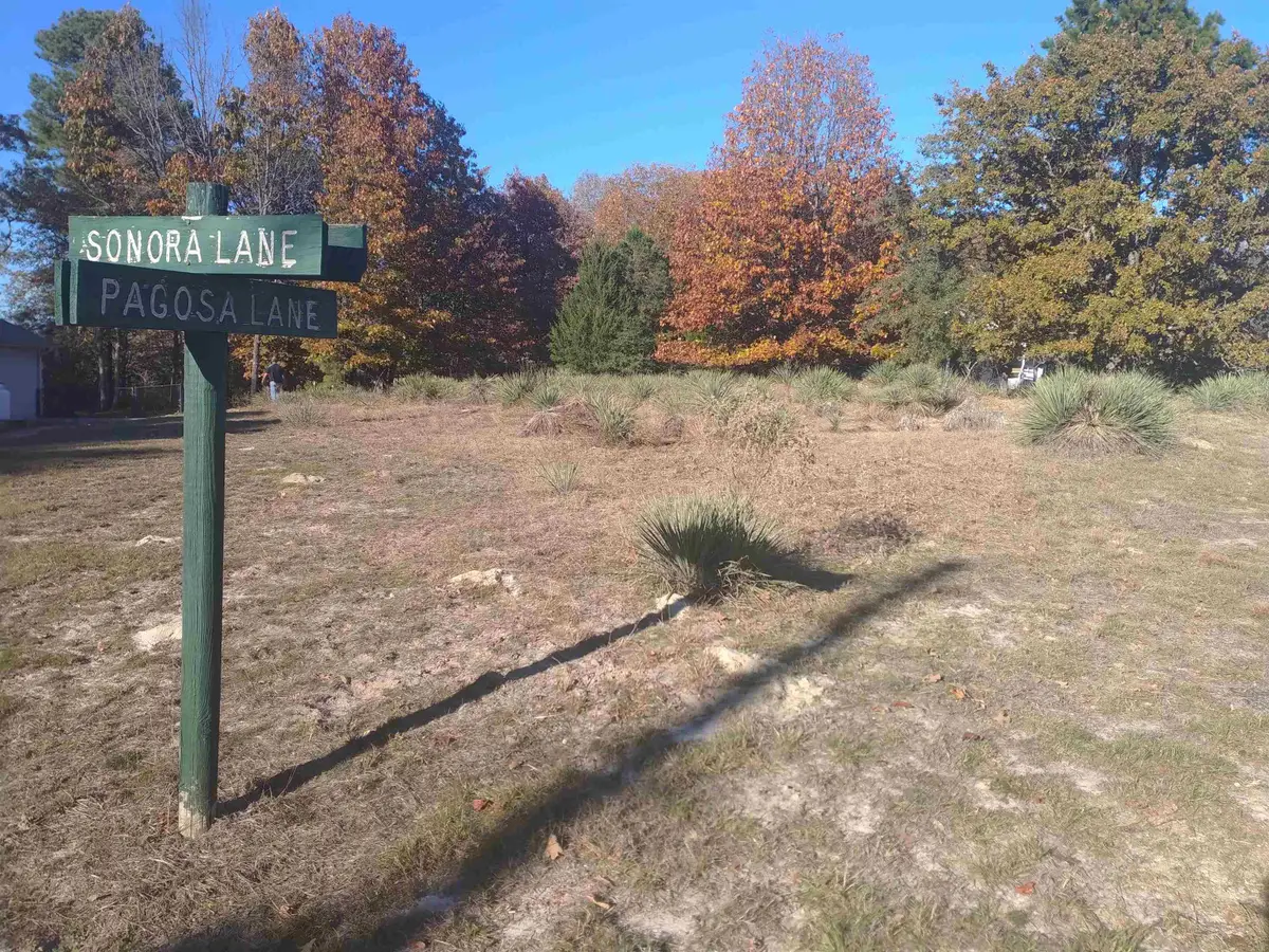 TBD Lot Pagosa, Holly Lake Ranch, TX 75765 - #1
