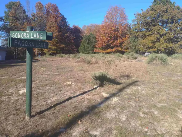 TBD Lot Pagosa, Holly Lake Ranch, TX 75765