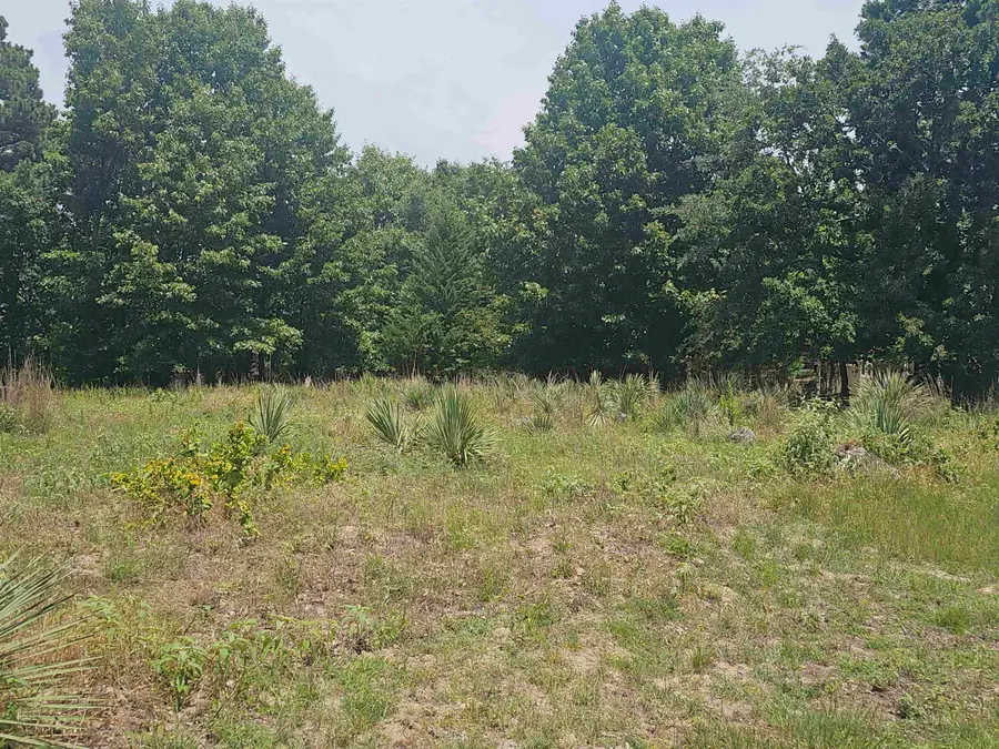 TBD Lot Pagosa, Holly Lake Ranch, TX 75765 - #2