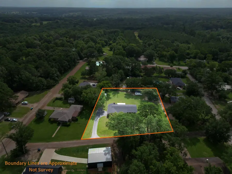 704 Holly, Overton, TX 75684 - #3