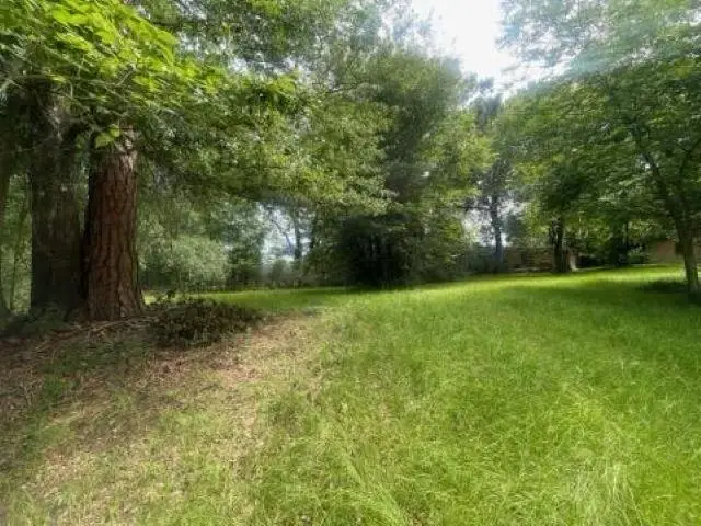 TBD Matilda Drive, Troup, TX 75789 - #1