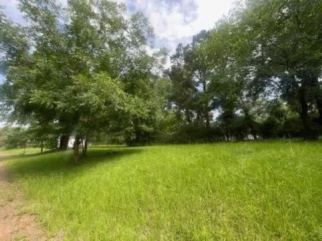 TBD Matilda Drive, Troup, TX 75789 - #2