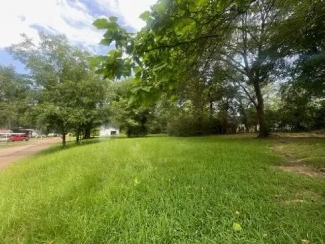 TBD Matilda Drive, Troup, TX 75789 - #3