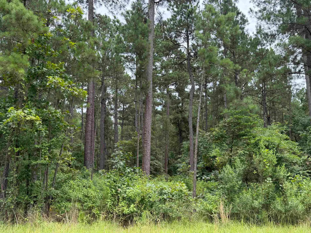 CR 1202 Old Town Road, Marshall, TX 75672 - #1