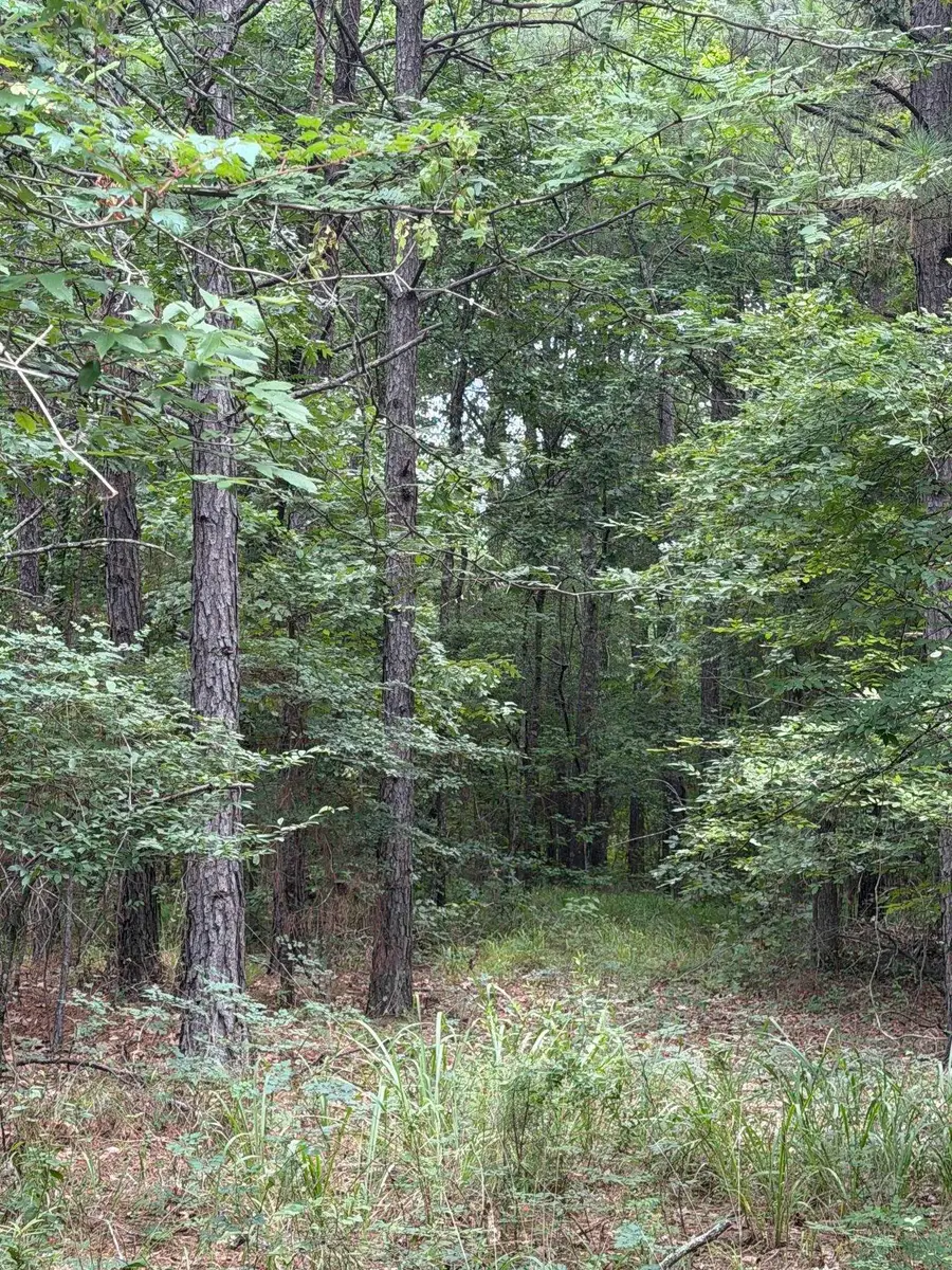 CR 1202 Old Town Road, Marshall, TX 75672 - #2