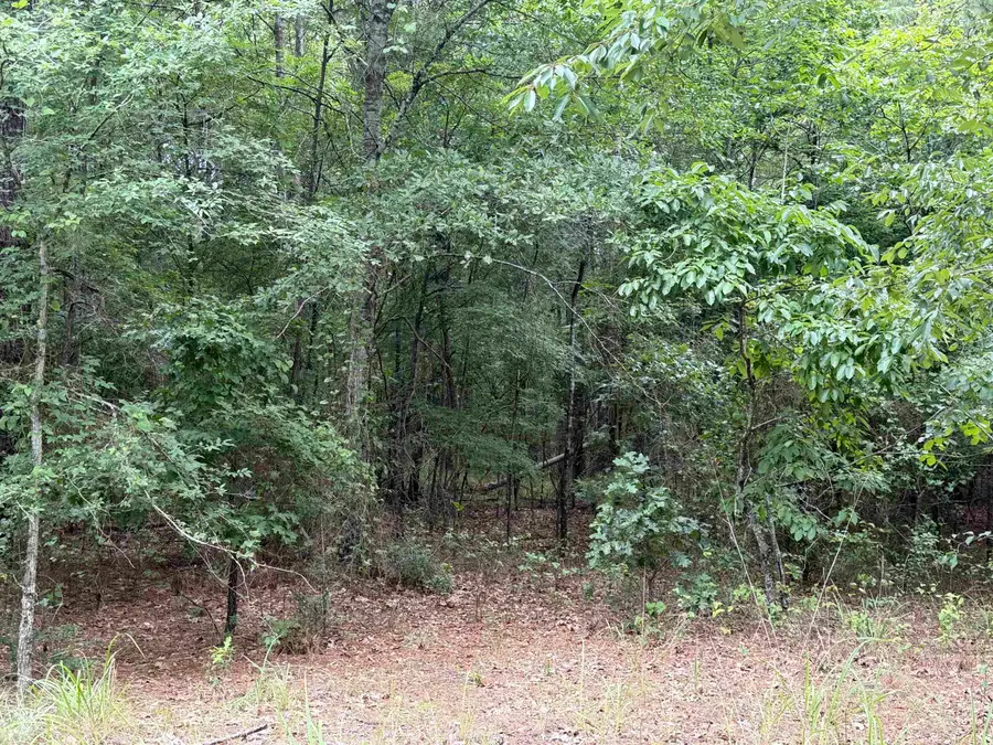 CR 1202 Old Town Road, Marshall, TX 75672 - #3