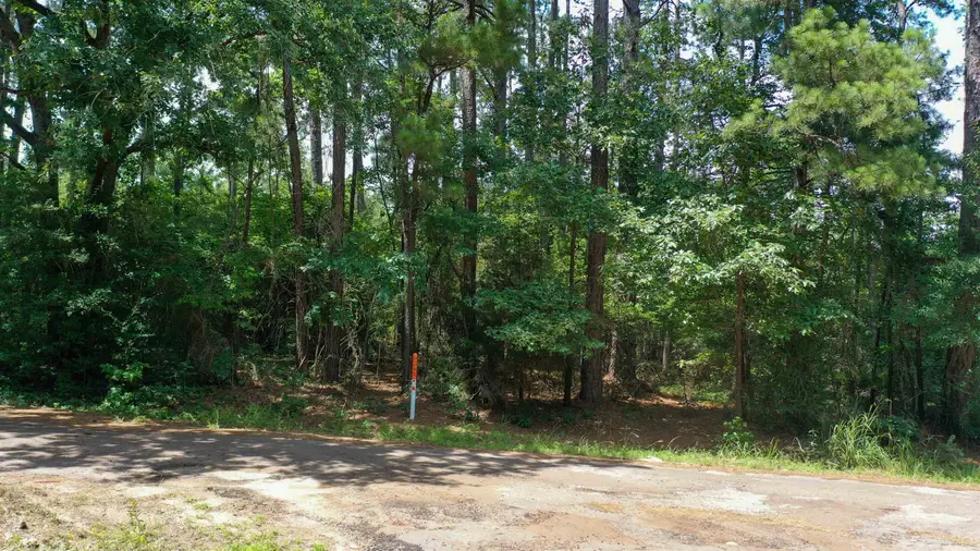 TBD WHIPPOORWHILL DRIVE, Jefferson, TX 75657 - #3