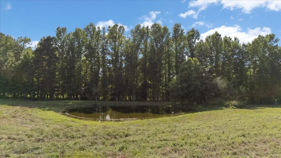 TBD COUNTY ROAD 2746, Hughes Springs, TX 75656 - #2