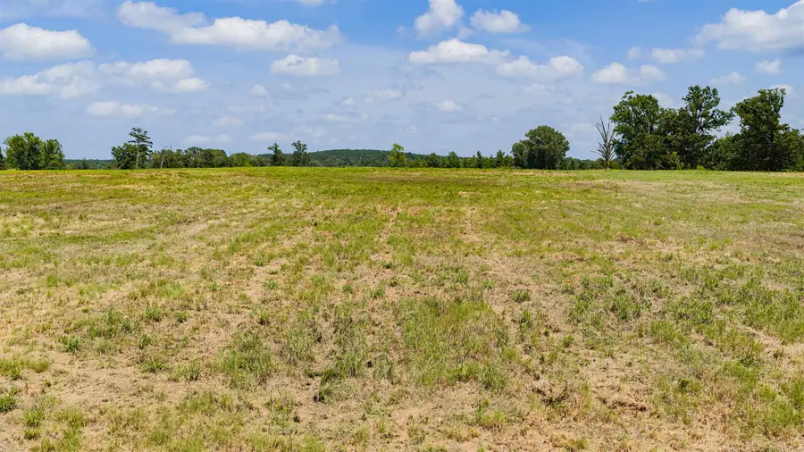 000 Eagle Court Rd, Diana, TX 75640 - #3