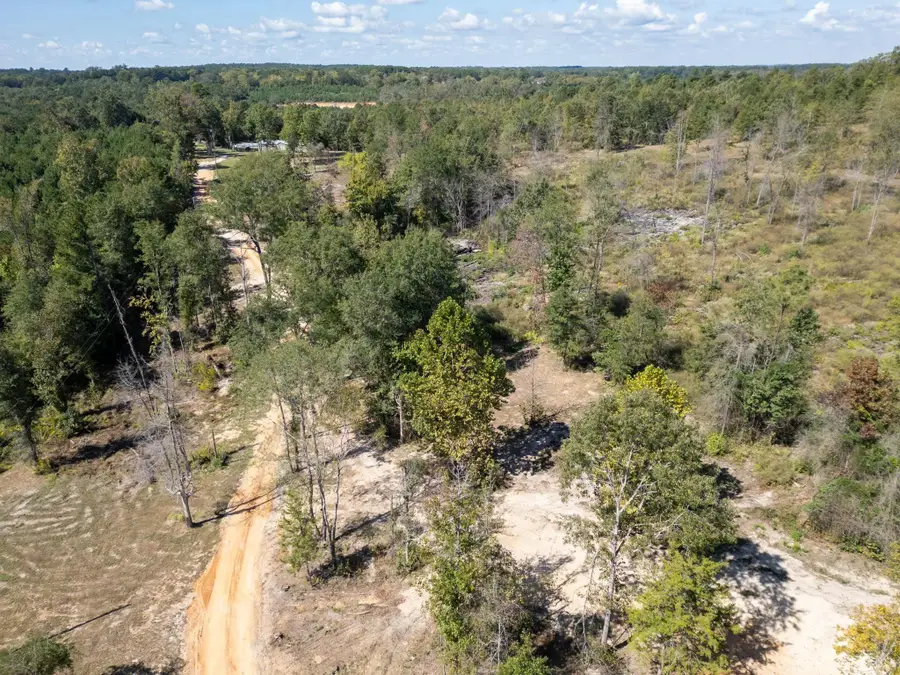 548 Private Road 4615, Harleton, TX 75651 - #3