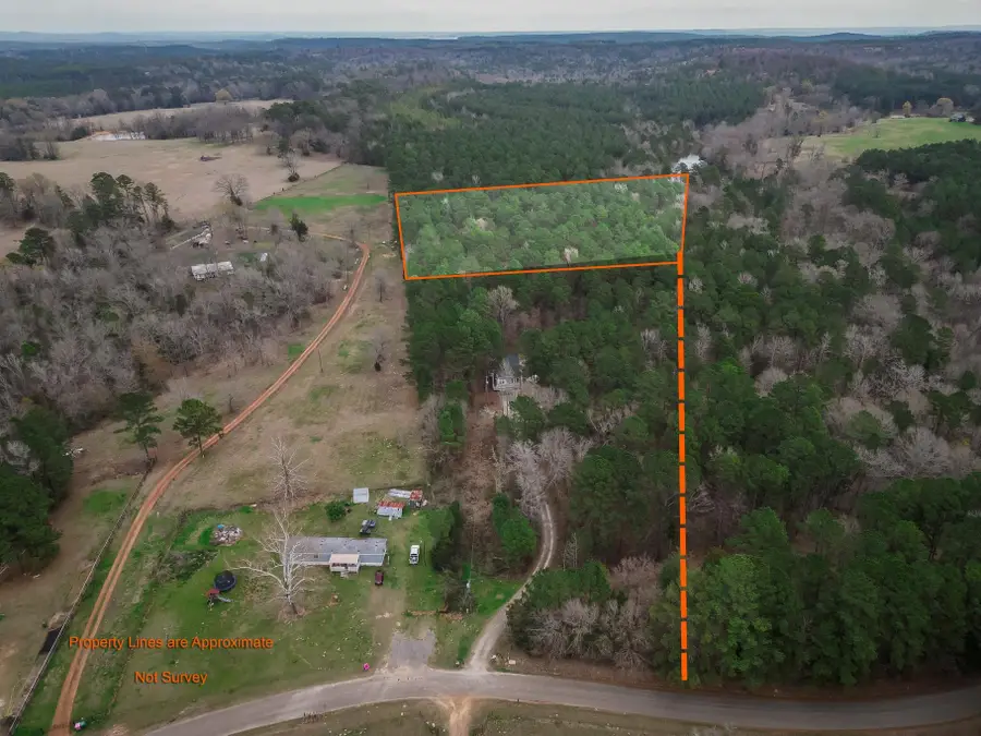 TBD Begonia Rd, Ore City, TX 75683 - #2