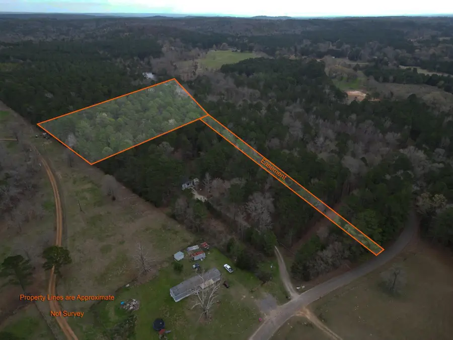 TBD Begonia Rd, Ore City, TX 75683 - #3
