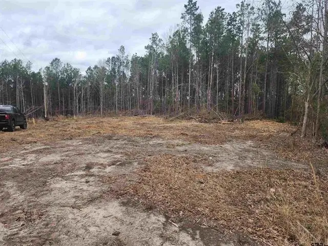 4665 CR 4114, Hughes Springs, TX 75656 - #1