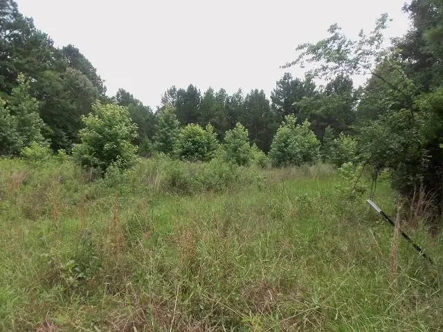 TBD SAMPLES ROAD, Kilgore, TX 75662 - #3