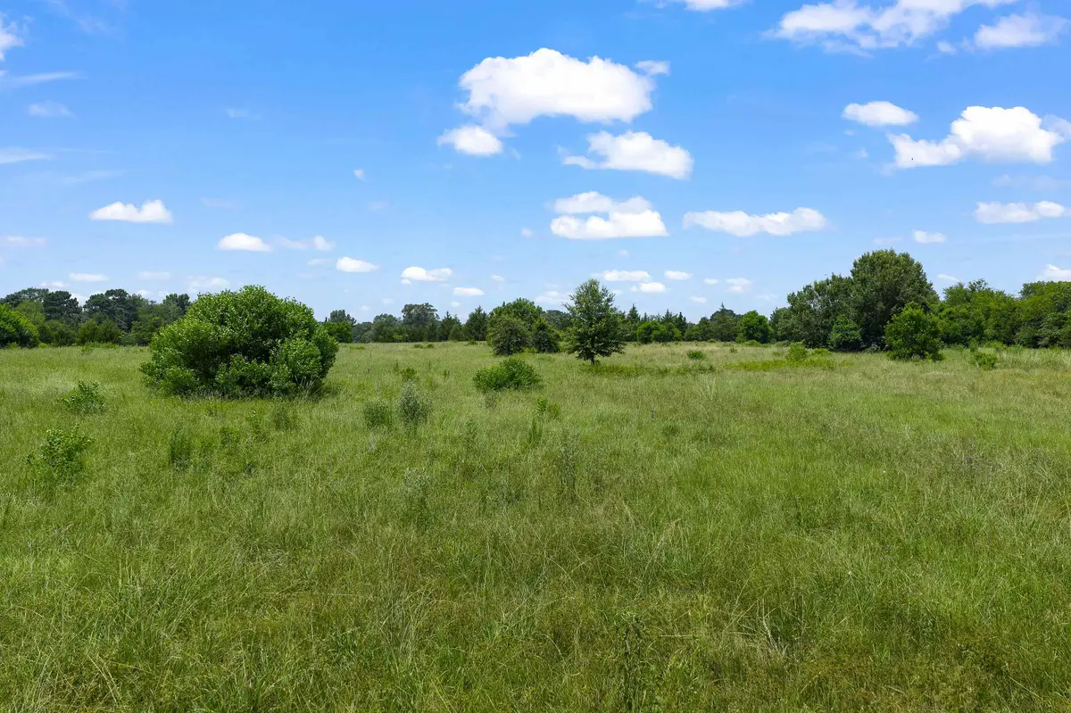 TBD CR 306, Beckville, TX 75631 - #1