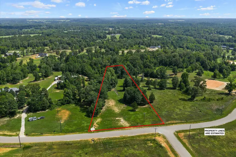16840 Ridgeline Loop, Winona, TX 75792 - #3