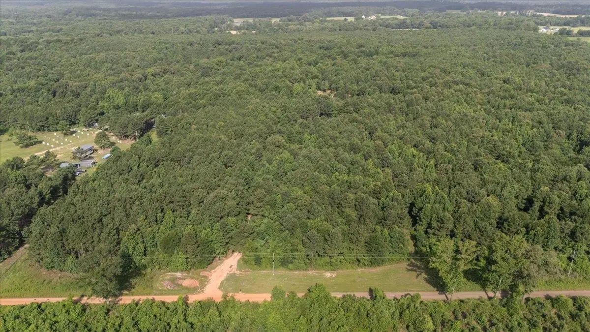 1916 CR 3320, Pittsburg, TX 75686 - #1