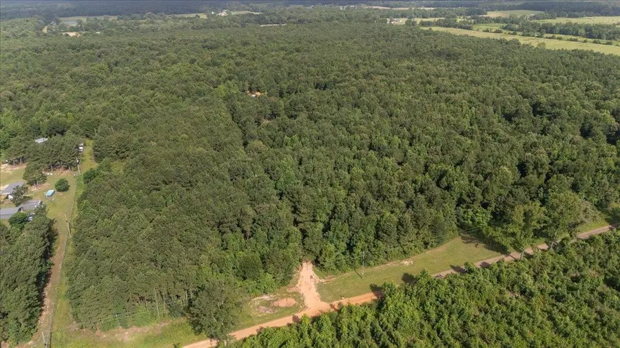 1916 CR 3320, Pittsburg, TX 75686 - #3