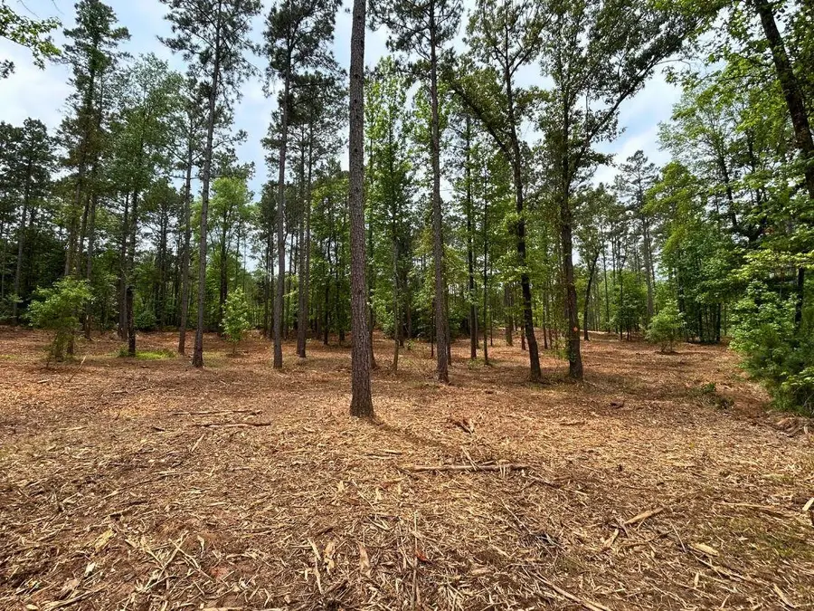 TBD Harkins Ln., Marshall, TX 75672-0000 - #3