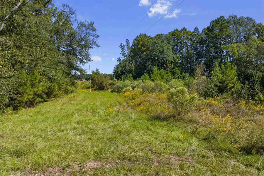 TBD E Cargill Rd, Marshall, TX 75672 - #3