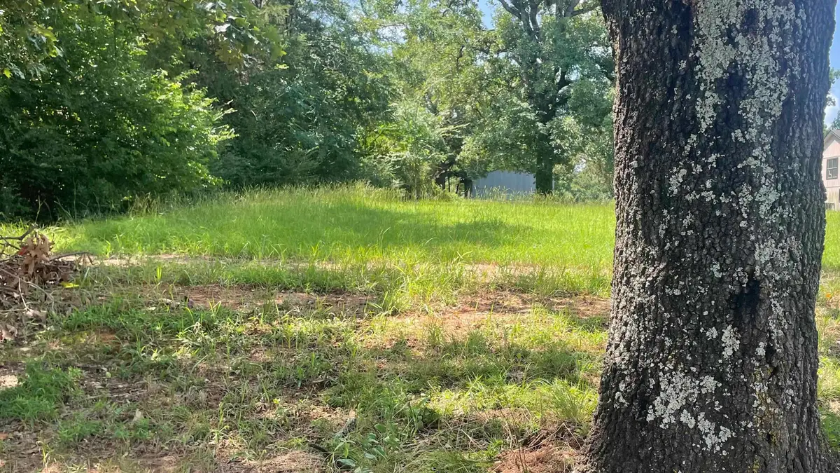 640 S CR 4505, Winnsboro, TX 75494 - #1
