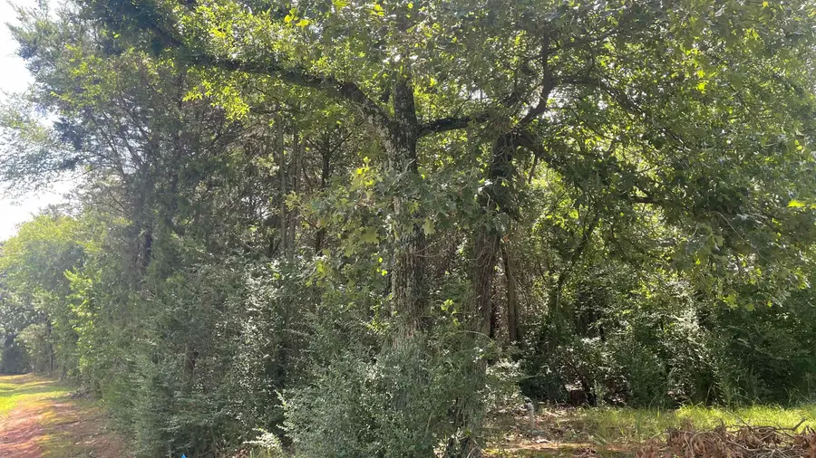 640 S CR 4505, Winnsboro, TX 75494 - #3
