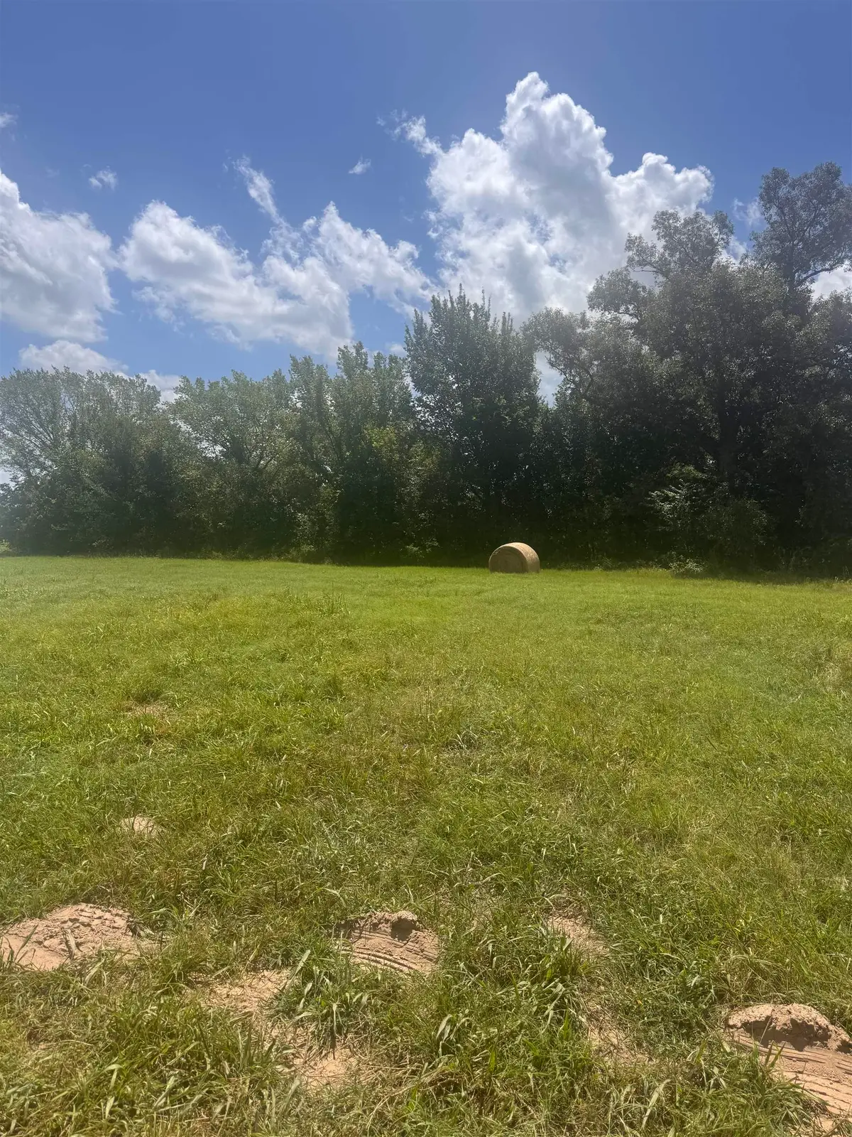 TBD FM 2455, Pittsburg, TX 75686 - #1