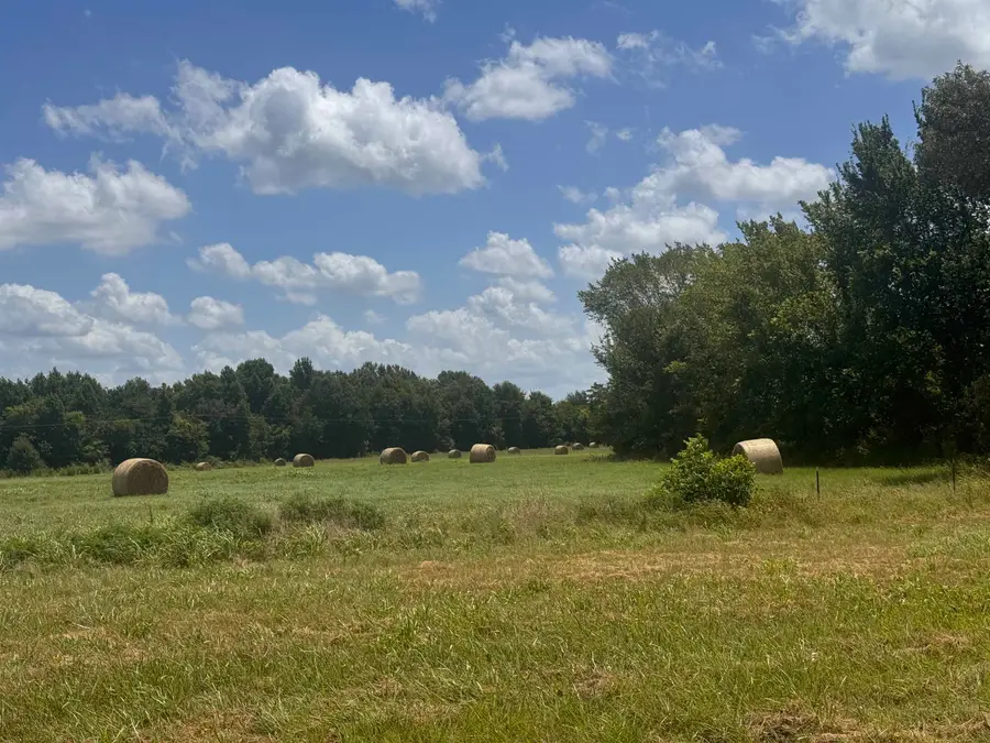 TBD FM 2455, Pittsburg, TX 75686 - #2