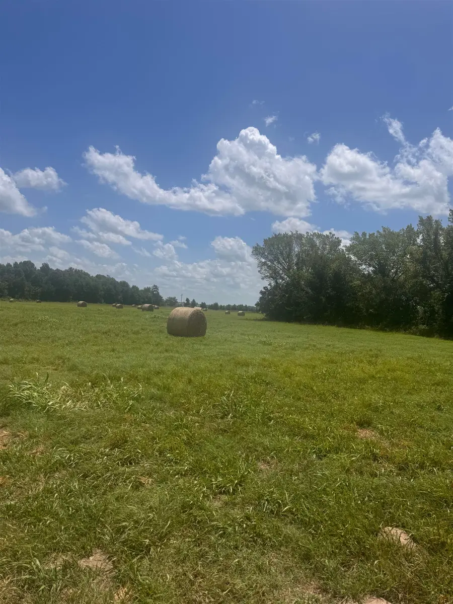 TBD FM 2455, Pittsburg, TX 75686 - #3