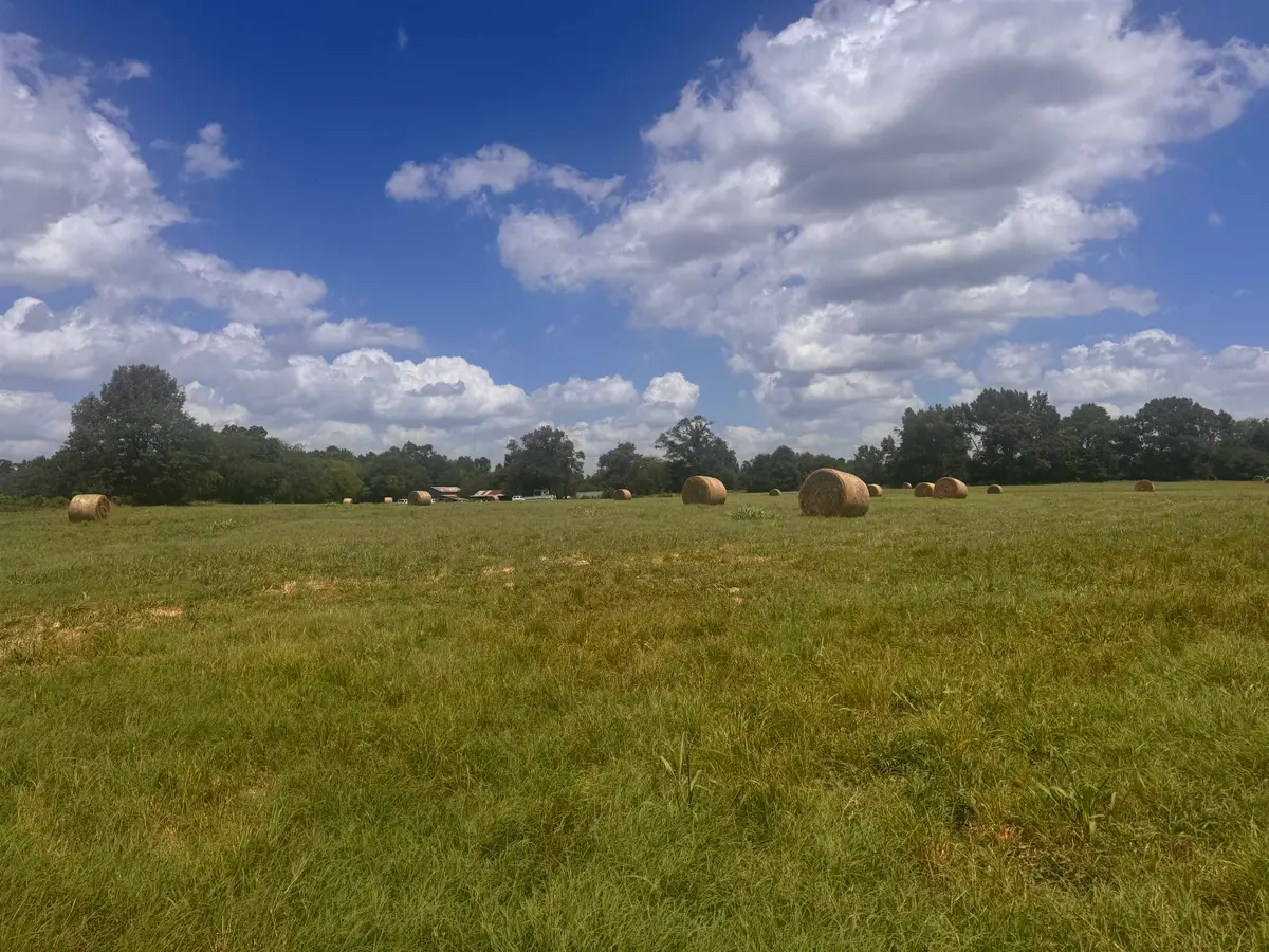 TBD CR 3414, Pittsburg, TX 75686 - #1