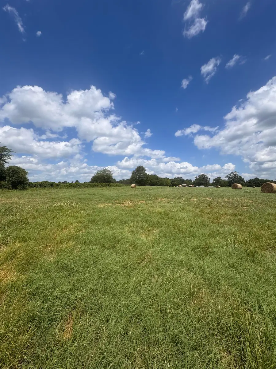 TBD CR 3414, Pittsburg, TX 75686 - #3