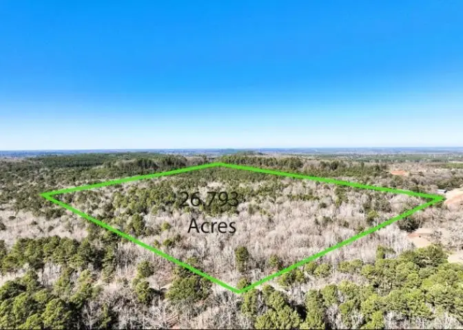 TBD FM 2796, Pittsburg, TX 75686 - #1