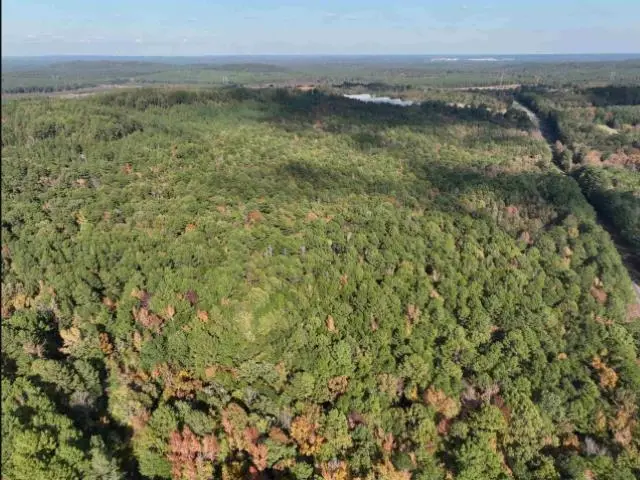 TBD FM 2796, Pittsburg, TX 75686 - #2