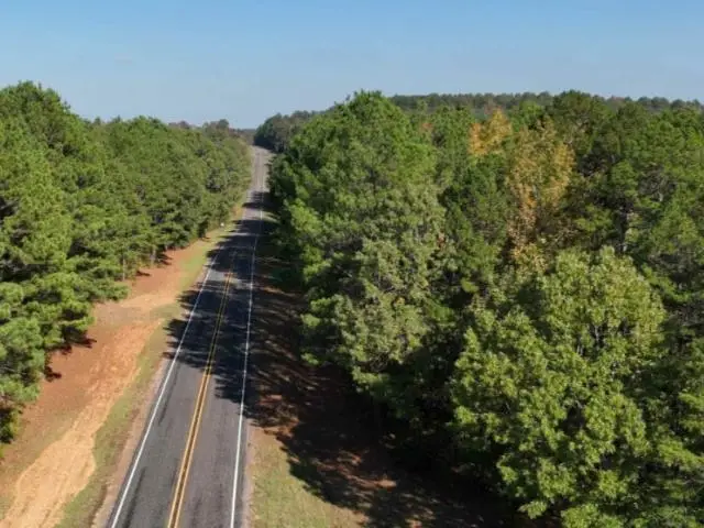 TBD FM 2796, Pittsburg, TX 75686 - #3