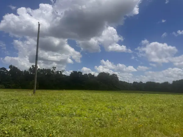 TBD CR 3322, Pittsburg, TX 75686